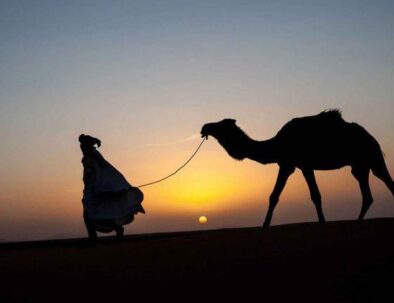 Tour di 3 giorni da Marrakech a Fes