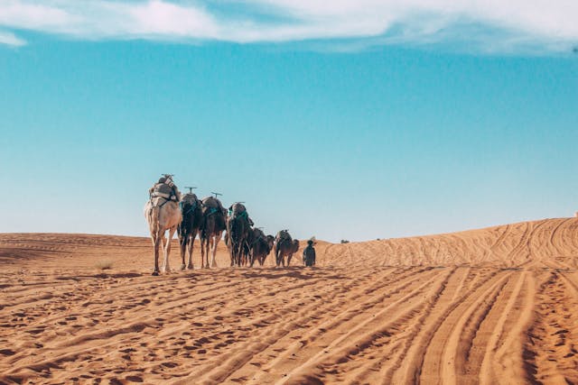 Tour 7 Giorni Da Marrakech Al Deserto Di Merzouga