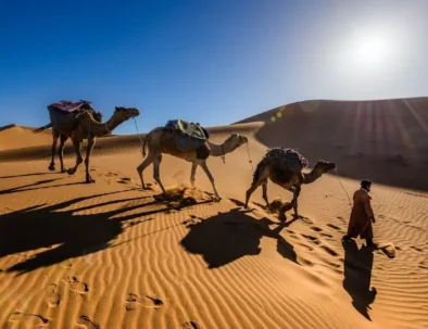 Tour del Deserto dal Fes a Marrakech – 3 Giorni